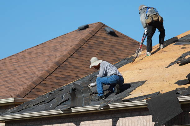 Best Roof Moss and Algae Removal  in Birch Bay, WA