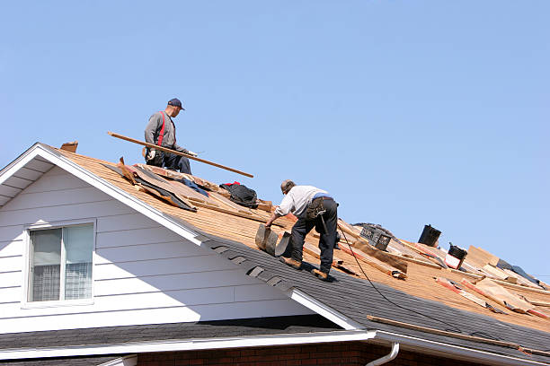 Best Metal Roofing Installation  in Birch Bay, WA